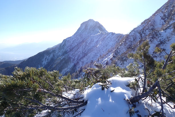 八ヶ岳　積雪情報　ラッセル　2023