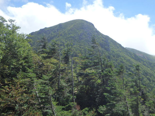 天狗岳　登山　ツアー