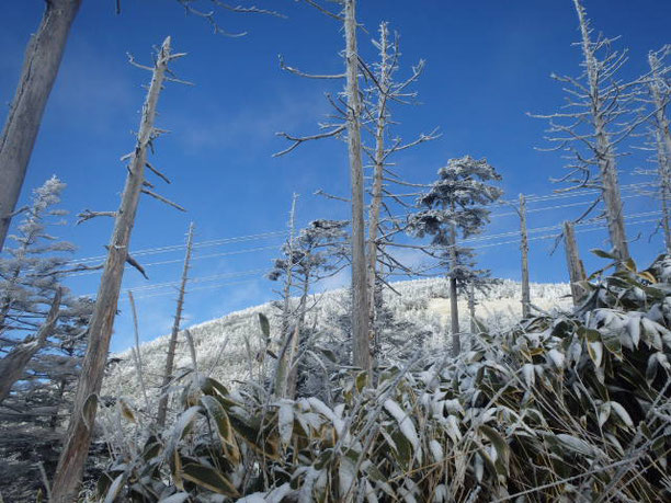 八ヶ岳　積雪情報　2022