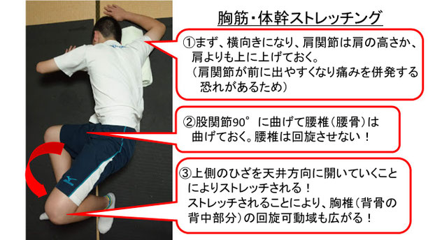 肩関節の痛み 姿勢 肩甲骨 肩甲骨痛み 背中の痛み 野球肩の原因 野球肩原因 野球肩治し方 野球肩体操 野球肩ストレッチ 野球 野球肩 肩が痛い ピッチャー リトルリーガーズショルダー 腱板損傷 投球傷害 水泳 競泳 腰痛 分離症 分離すべり症 水泳肩スイマーズショルダー 水泳肩 スイマーズショルダー治療 スイマーズショルダー治るのか 岐阜 岐阜市 岐阜市茜部 岐阜市東鶉 岐阜市南鶉 岐阜市中鶉 岐阜市柳津町 羽島市 羽島郡 笠松町 岐南町 茜部 鶉 東鶉 中鶉 南鶉 柳津 笠松