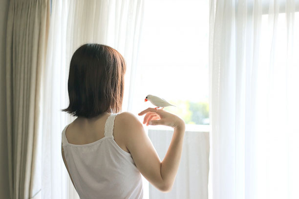 (画像はお借りしました)