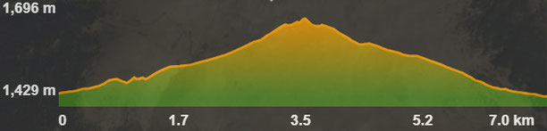 Perfil de la ruta del salt del molí de la Llosa