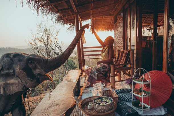 The Chai Lai Orchid Eco-Luxury Lodge im Dschungel
