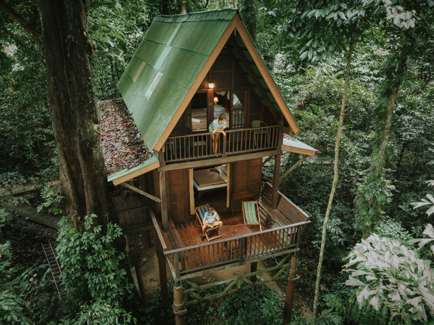 Nature Tree House Resort Baumhaus