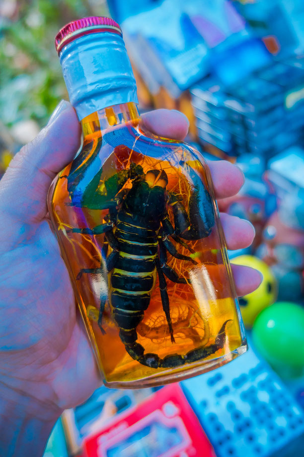 Kurioses asiatisches Souvenir: Ein konservierter Skorpion in einer traditionellen thailändischen Spirituosen-Flasche