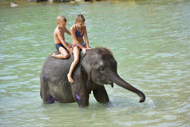 Zwei glückliche Kinder baden auf dem Rücken eines Elefanten im klaren Flusswasser