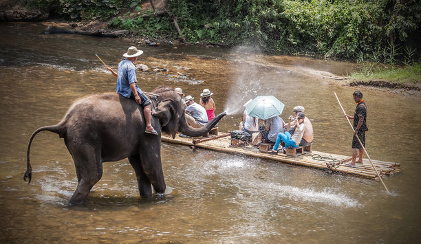 Elefant spritzt Touristen auf einem Bambusfloß nass