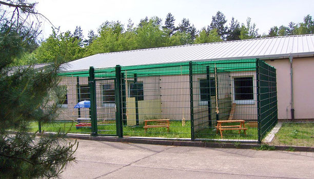 Katzenpension Dresden Freigehege
