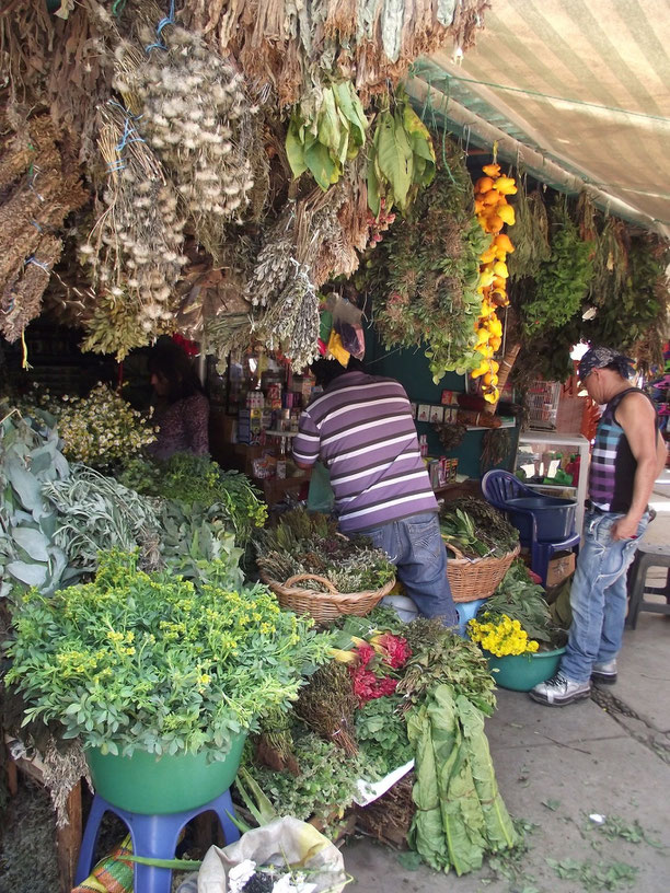 Chiclayo witch doctors' market herbs