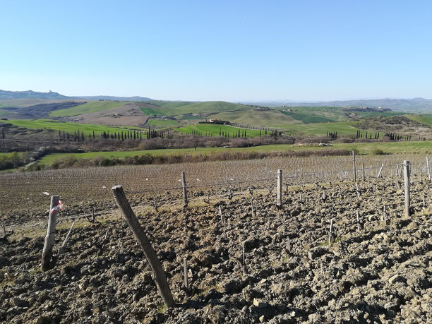 Amiata orcia doc Toscana Etesiaca itinerari di vino