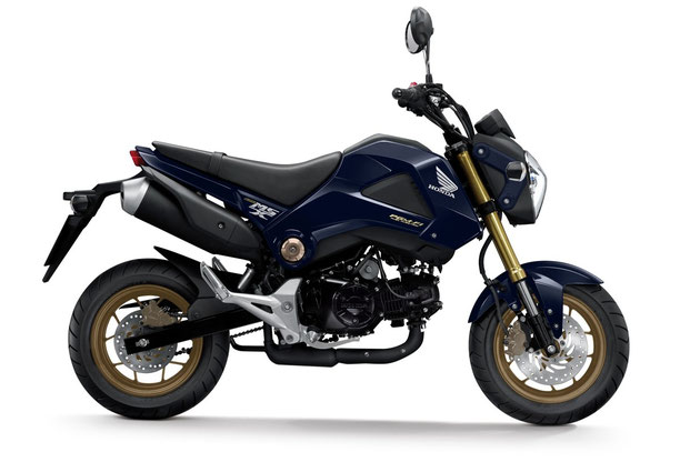 2014 Honda MSX125