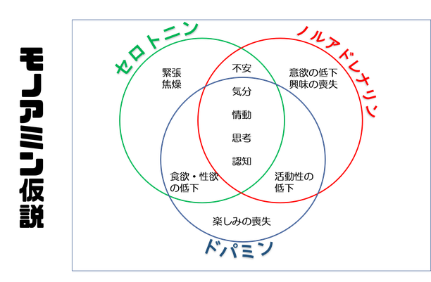 セロトニン　ノルアドレナリン　ドーパミン　モノアミン仮説