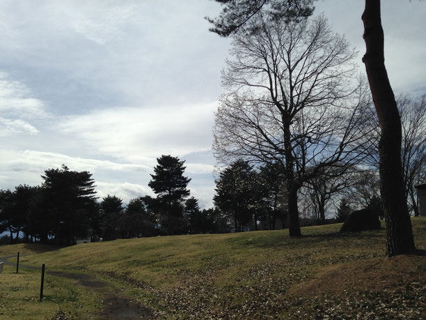 雪窓公園の芝生