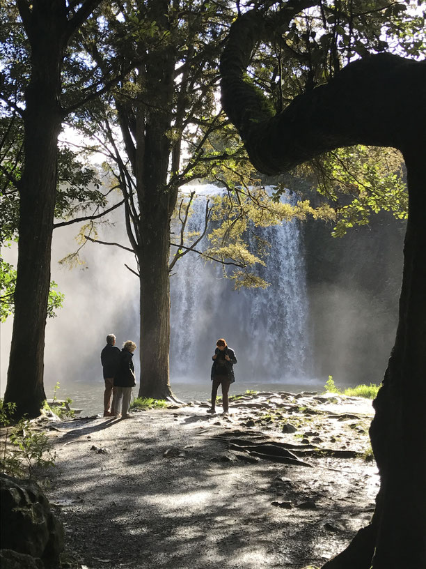 Whangarei Falls