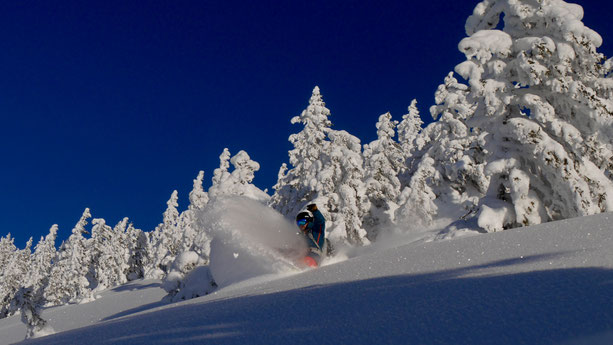 Splitboarding at it's finest!