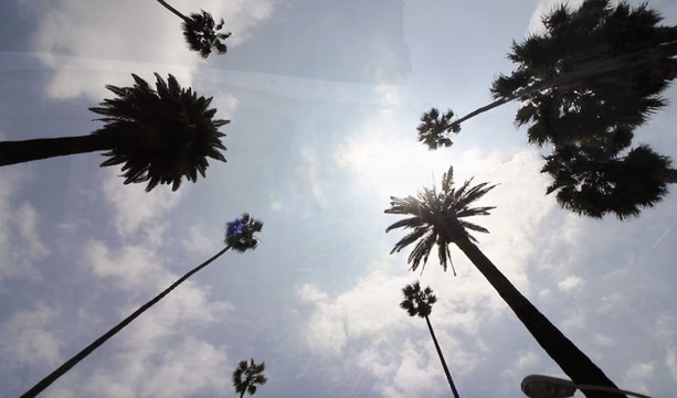 Weltreise, Reiseblog, Los Angles, LA, Roadtrip, LA LA Land, Amerika, USA, Beverly Hills, Hollywood, Venice Beach
