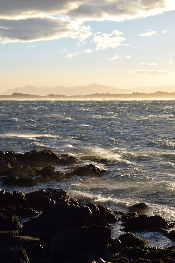 windy sea, East Fjords, Iceland