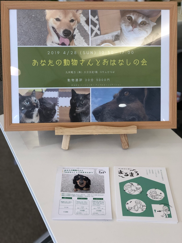 お散歩代行|お世話|ペットホテル|大分|別府|シッテイング|アニマルコミュニケーション|ペットシッター|お散歩|動物通訳|動物通訳士|問題行動|グリーフケア|動物と話す|動物の声|