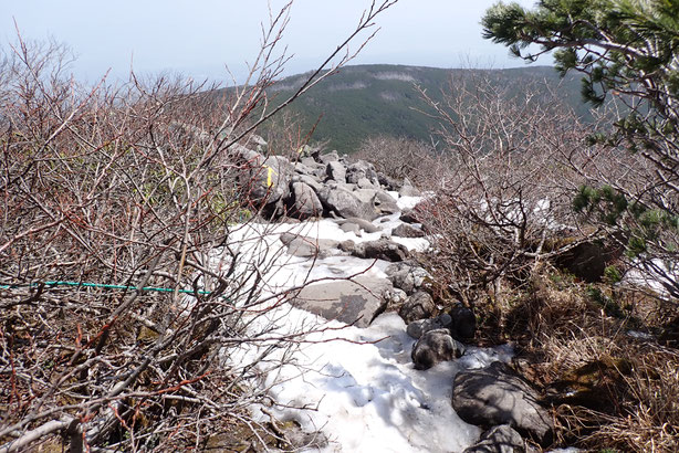八ヶ岳 残雪情報 2025