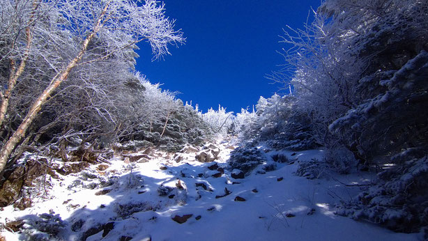 2025　八ヶ岳　雪山ツアー　積雪情報