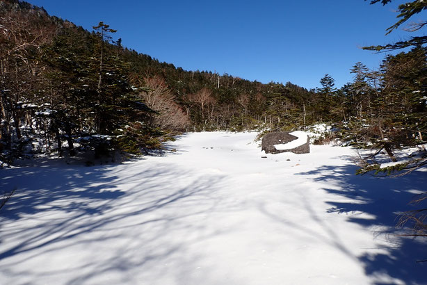 2025　八ヶ岳　雪山ツアー　積雪情報