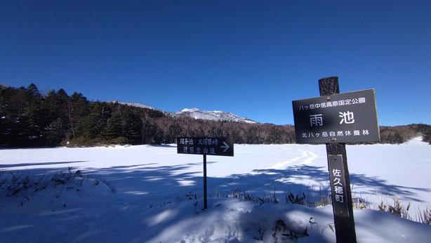 2025　八ヶ岳　雪山ツアー　積雪情報