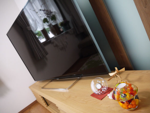 パナソニック 55V型4Kビエラ