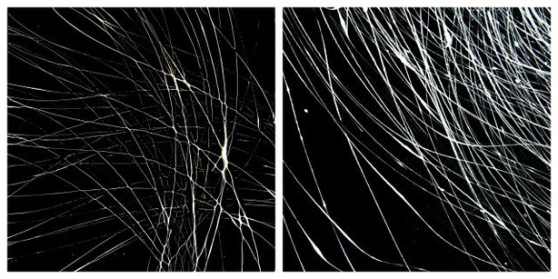 "In the wind" & "Dans un coin" - 2 toiles de 40 X 40 X 2 cm
