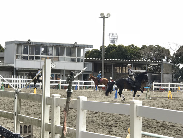 馬