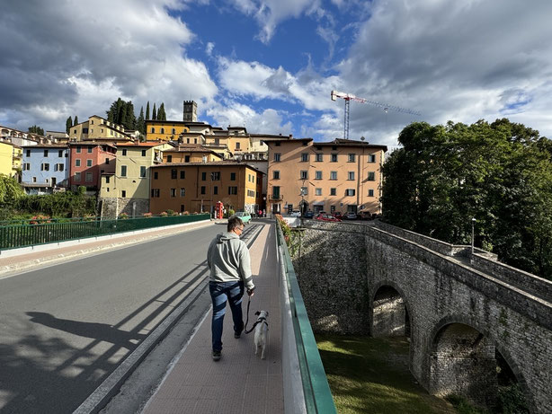Barga