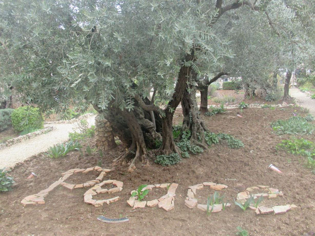 Im Garten Gethsemane wird der Wunsch von vielen ausgedrückt.