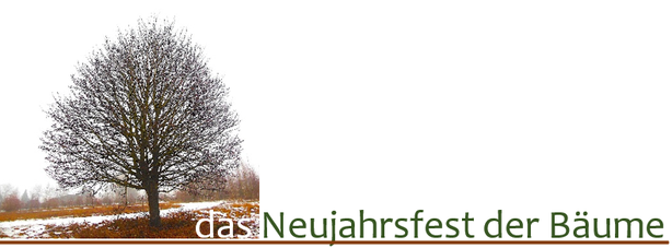 Tubi Schevat ist das Neujahrsfest in Israel