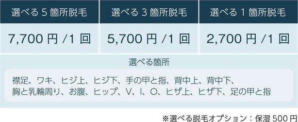 レディース選べる脱毛料金表