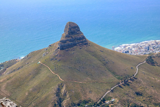 Lions Head