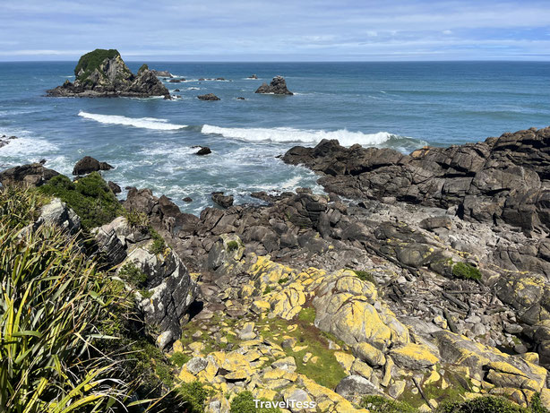 Seal Colony bij Cape Foulwind