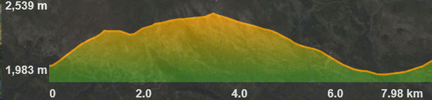 Perfil de la ruta de raquetes Coll de Pal - Tosa d'Alp