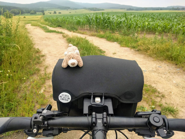 Radmaskottchen Stups der Bär - auf jeder Reise mit dabei!