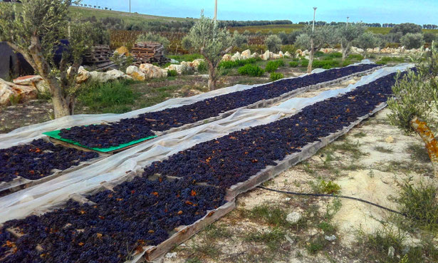Sicilia, Italia. Itinerari di vino. Blog Etesiaca