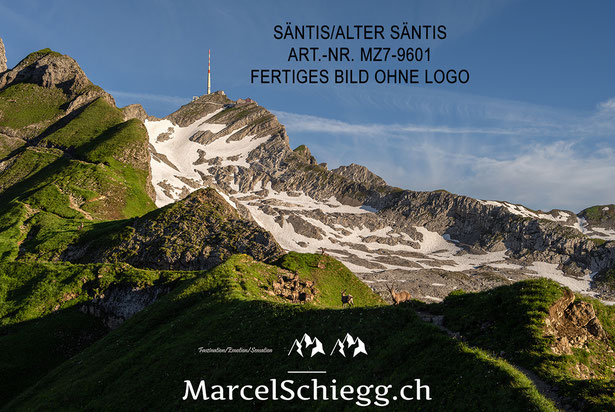 Marcel Schiegg, Fotografie, Säntis, Alter Säntis, Steinböcke, Wandbild