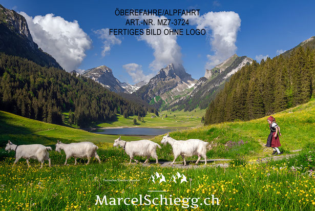 Marcel Schiegg, Fotografie, Brauchtum, Tradition, Alpfahrt, Öberefahre, Alpaufzug, Alpabzug, Sämtisersee, Alpstein, Appenzell, Schweiz