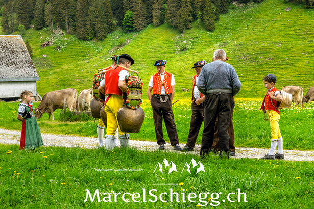 Alpfahrt, Alpaufzug, Appenzell, Appenzellerland, Senntum