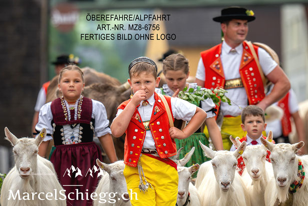 Leinwandbild-Öberefahre, Appenzeller Tradition