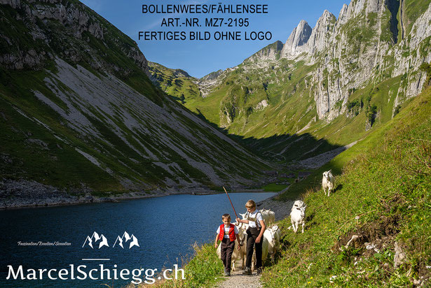 Fählensee, Bollenwees, Öberefahre, Fählenalp