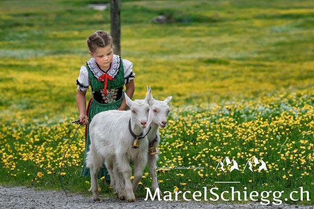 Brauchtum, Appenzell, Öberefahre, Appenzeller Tradition