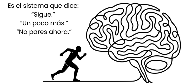 El placer también estresa