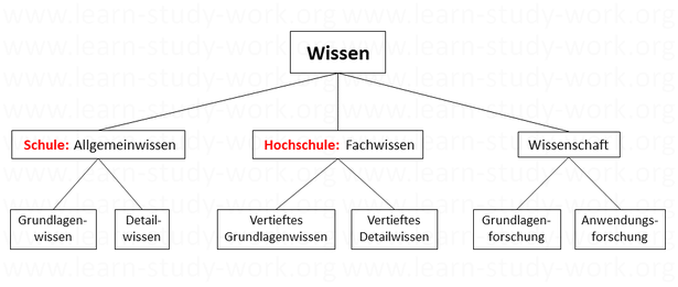 <img srcset="httpsArten von Wissen - Allgemeinwissen - Grundlagenwissen - Detailwissen - Fachwissen - Wissenschaft - www.learn-study-work.org