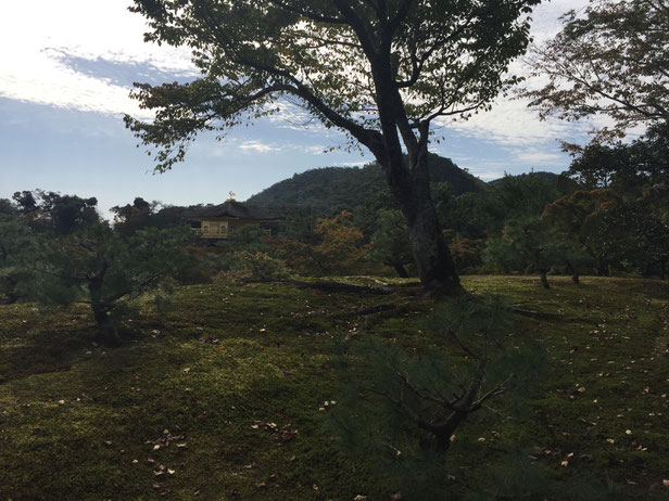 Family Friendly Walks in Kyoto, Japan - The Golden Pavilion