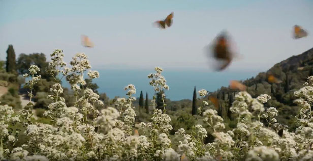Biodiversiteit en het verkleinen van de ecologische voetafdruk zijn belangrijk voor het bedrijf.