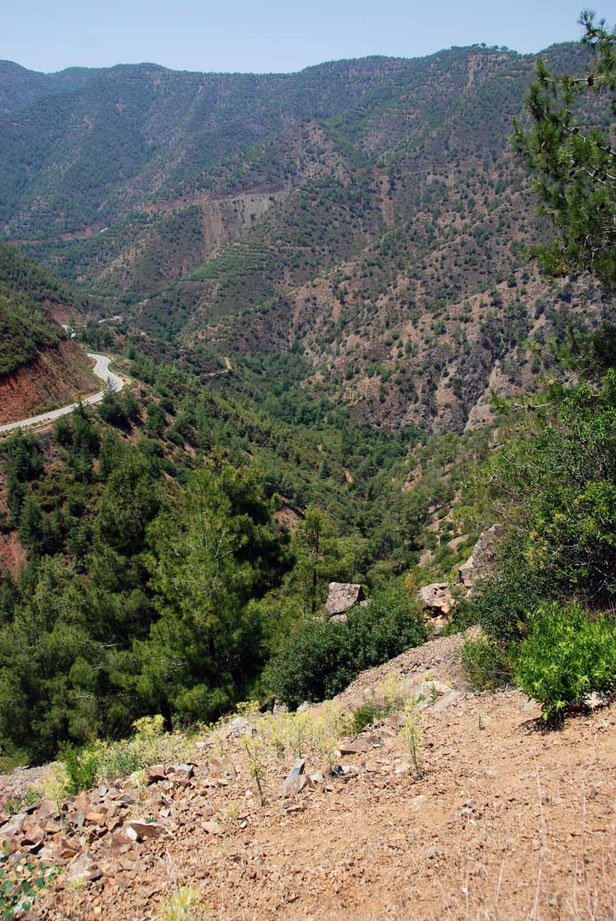 The desolate, marvelous road to Pyrgos. No mobile, no facilities so don't be having a mishap.  The road climbs round the valley side and ascends in the far distance