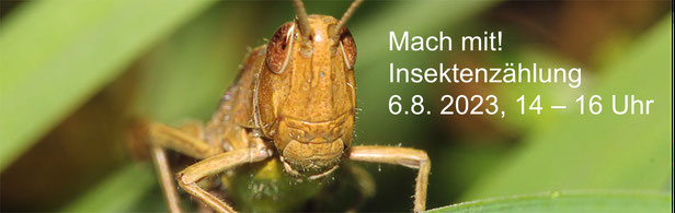 Foto: NABU, Prachtlibelle, Laufkäfer, Jens G. Kube, Streifenwanze, Conny Müller